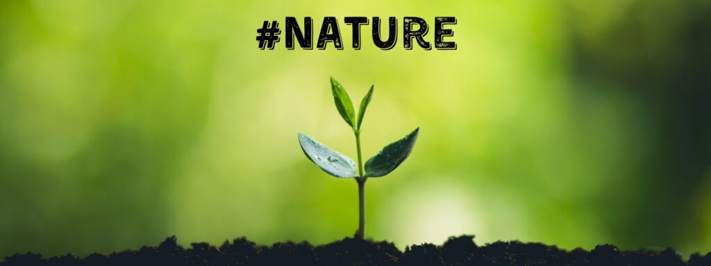 Best hashtags of nature and nature photography hashtags for Instagram