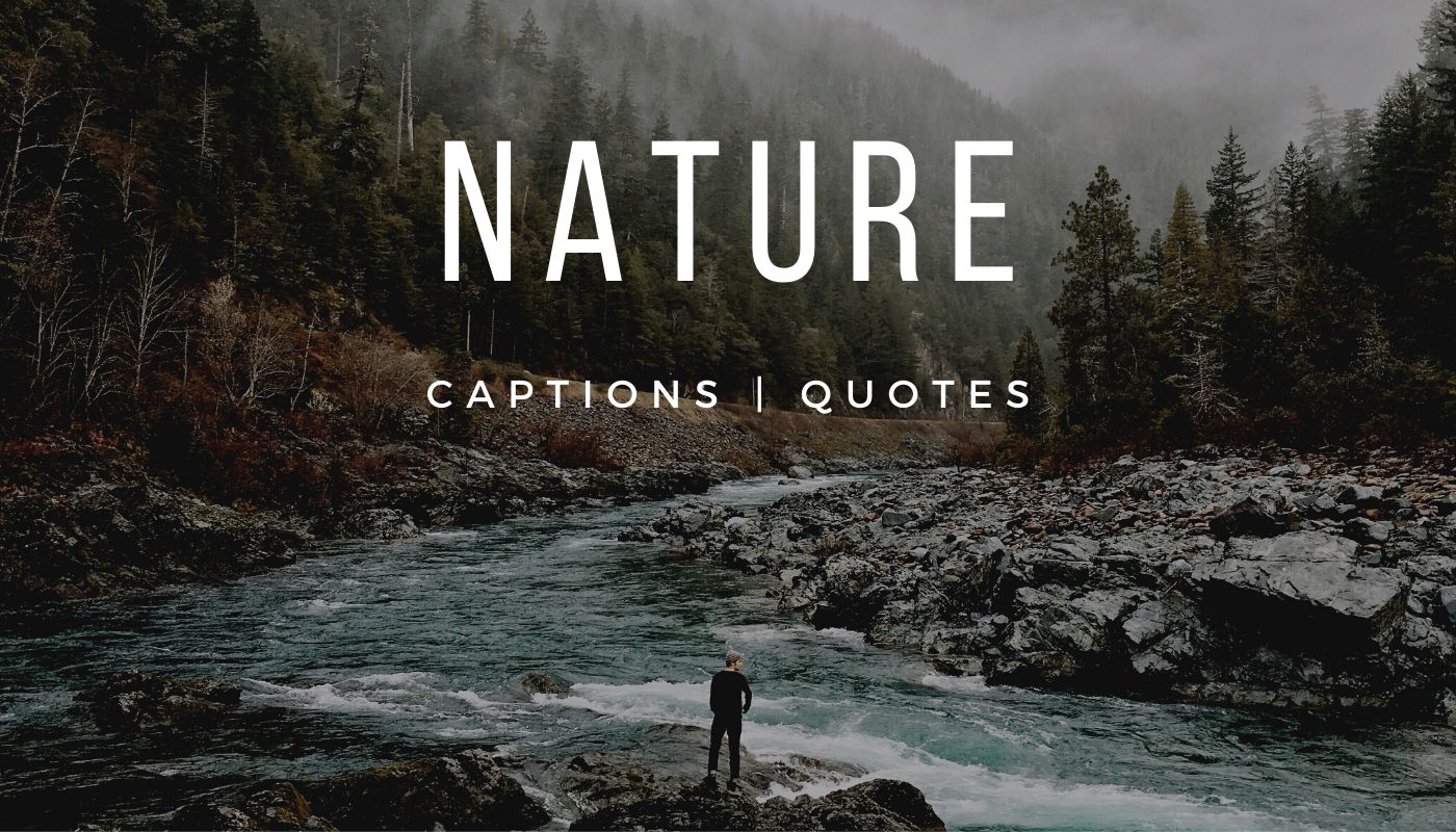 101 Amazing Nature Captions for Instagram and 21 Best Nature Quotes