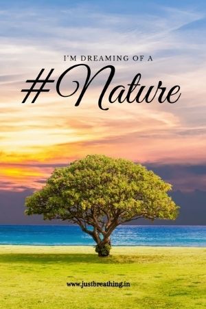 Best nature hashtags for Instagram and Green nature photography hashtags to get more like
