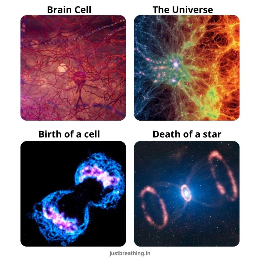 brain cells and universe - Yajurveda says-YATHA PINDE TATHA BRAHMANDE-birth of cell and death of a star