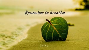 Read more about the article Remember to Breathe Quotes and Remember to Breathe lyrics