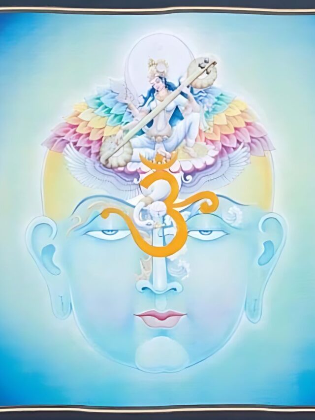 Read more about the article Unveiling the Mysteries of Chakras for Young Yogis