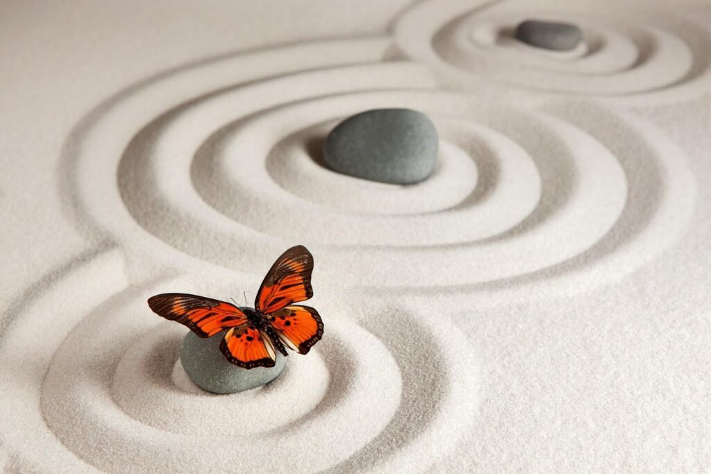 Letting Go as a Gateway to Freedom Embracing Self-Awareness and Conscious Living